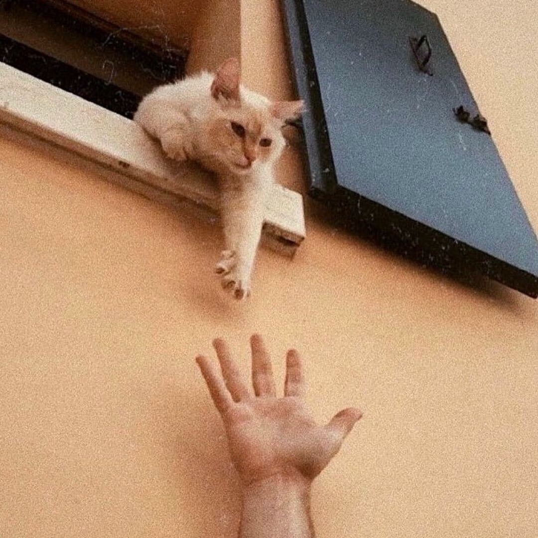 相顾无言只有泪千行